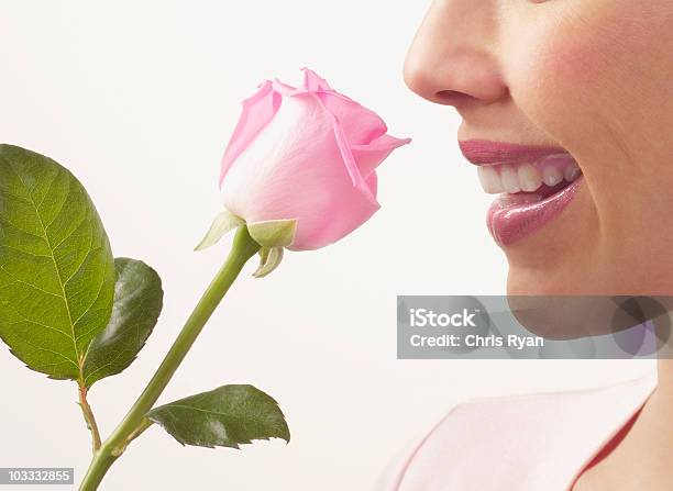 Foto de Closeup De Mulher Cheirando Rosa Rosa e mais fotos de stock de Rosa - Flor - Rosa - Flor, Perfumado, Cheirar