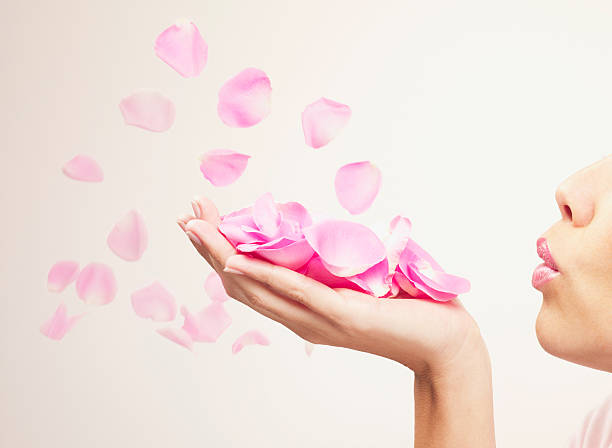 Woman blowing pink rose petals  blowing a kiss stock pictures, royalty-free photos & images