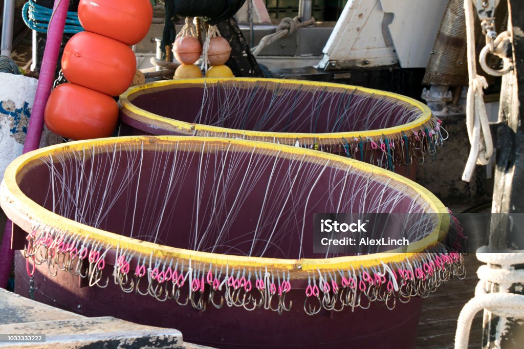 Long Line Fishing Containers With Hooks Inside A Boat Stock Photo -  Download Image Now - iStock