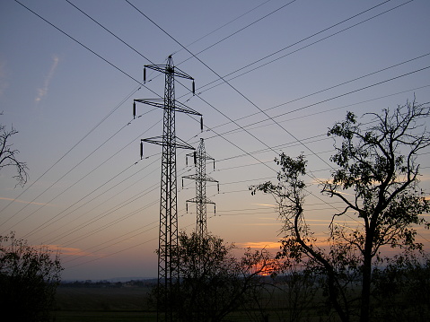 Masts high voltage over trees after sunset