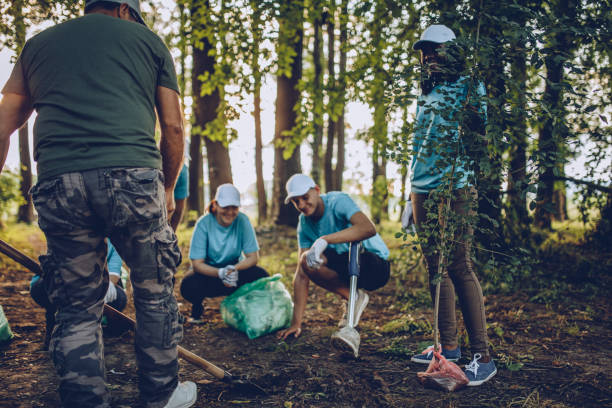istock Busy volunteers planting a tree 1033345924