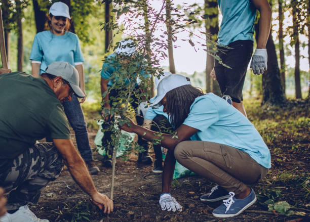 istock Volunteers planting a tree 1033345972