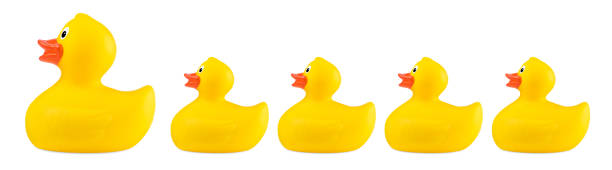 istock yellow classic rubber bath duck toy family 1033355224