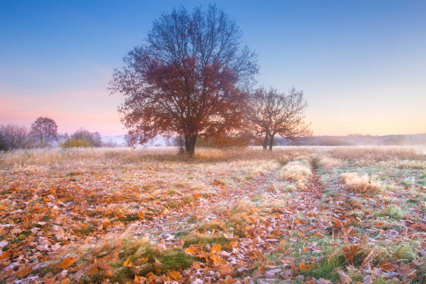 istock The end of autumn 1033358716