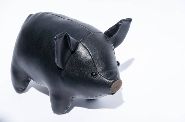 istock Closeup cute black pig doll on white 1033392072