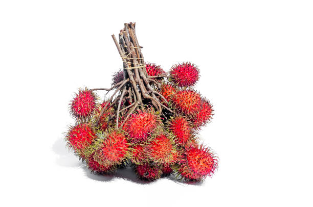 istock Fresh red rambutans on isolated white background 1033392224