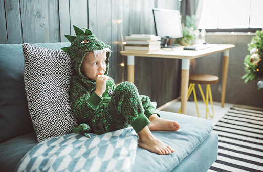 Boy celebrating Christmas at home, he sitting on sofa  and enjoy in holidays, boy wears costume