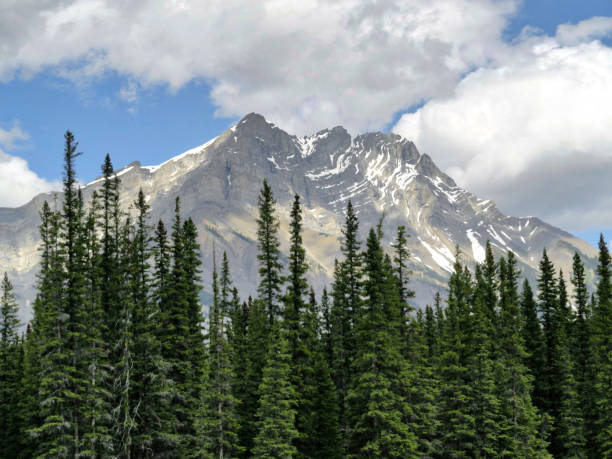 istock Bow River scenic landscapes in Banff, Alberta 1033478616