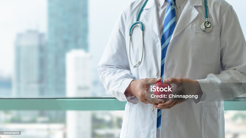 Cardiologist doctor holding red heart with professional medical care in clinic office with hospital city building background Medical Exam Stock Photo