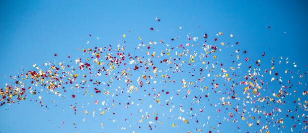 istock holambra Petal rain tradition 1033523546