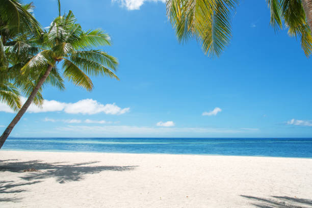 paesaggio paradisiaco tropicale - beach foto e immagini stock