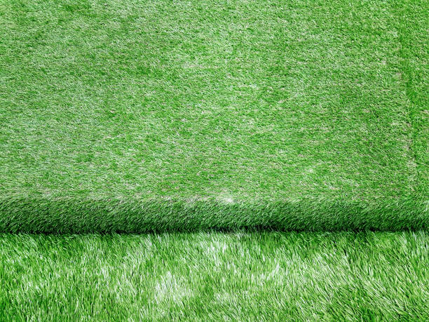 istock Full Frame Background of High Angle View of Staircase Covered by Artificial Green Grass 1033557012