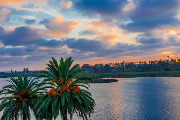 istock Sunset over Buena Vista Lagoon, Carlsbad CA(P) 1033564664