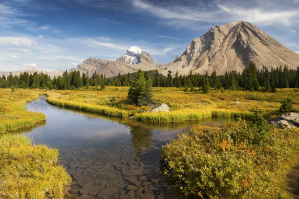 banff parc national des montagnes rocheuses canadiennes de couleurs de l’automne - red deer, alberta photos et images de collection