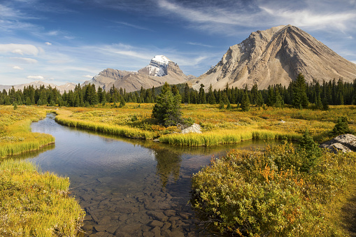 Distant Canadian Rocky Mountain Peaks Landscape and Autumn Colors Change by Red Deer River Flats in Banff National Park