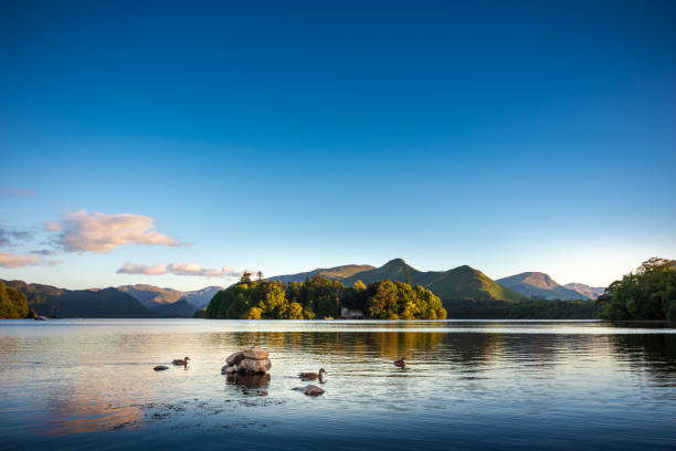 Ducks swimming on Lake Derwentwater near Keswick, England Keswick is a beautiful town located in the English Lake District, where the lush green hills meet the tranquil lake of Derwentwater. Shot in Summer during the late afternoon. Cat Bells Fell can be seen in the background. keswick photos stock pictures, royalty-free photos & images