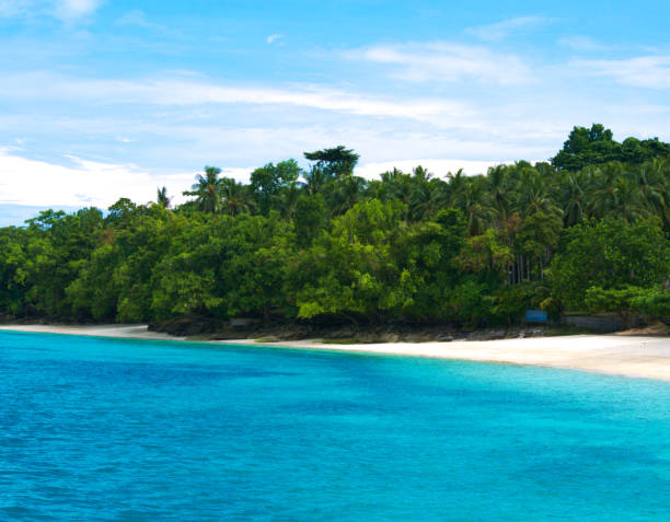 Bluest of the Blue A beautiful image of a turquoise sea with white sand and greenest foilage. davao city stock pictures, royalty-free photos & images