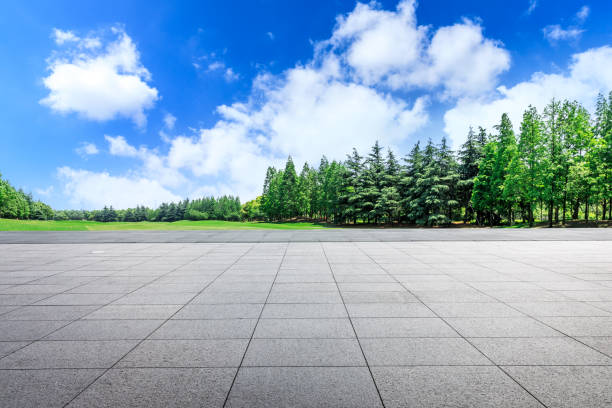 istock Empty city square floor and green woods scenery 1033633264