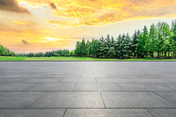 istock Empty city square floor and green woods scenery at sunset 1033636768