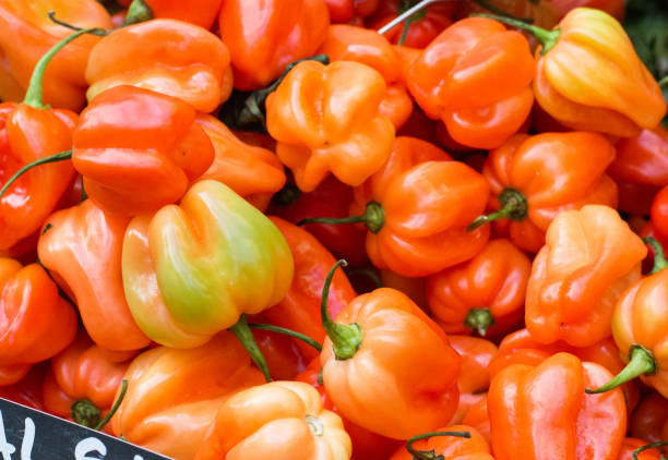 Fresh Scotch bonnet peppers on white background. two peppers in a composition.