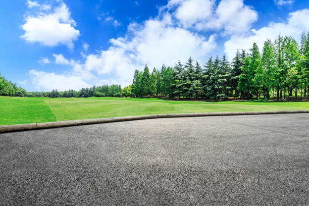 istock Empty asphalt road and green woods under blue sky 1033651752