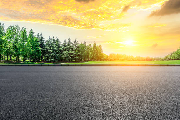 istock Empty asphalt road and green woods at sunset 1033654698