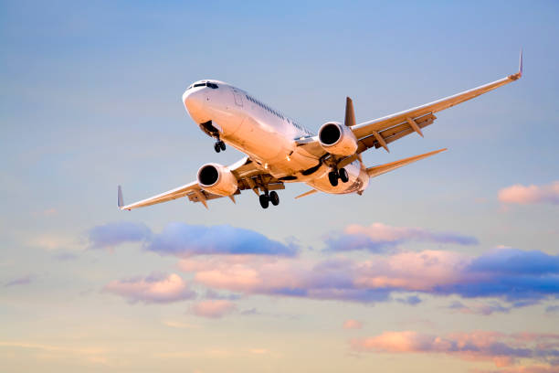 istock Commercial Aircraft in Sunset Sky 1033662648