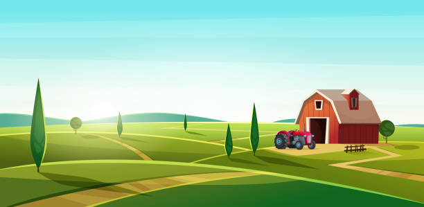 illustrazioni stock, clip art, cartoni animati e icone di tendenza di paesaggio di campagna colorato con fienile e trattore sulla collina. posizione rurale. illustrazione vettoriale moderna dei cartoni animati - farm