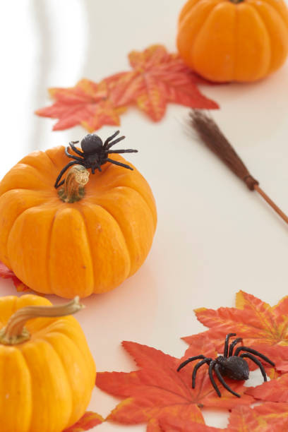 otoño halloween pumpkins sobre fondo de madera - pumpkin simplicity rustic old fotografías e imágenes de stock