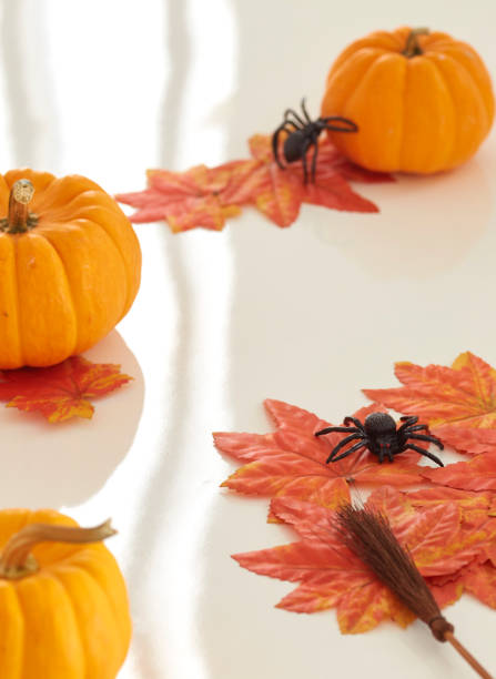 otoño halloween pumpkins sobre fondo de madera - pumpkin simplicity rustic old fotografías e imágenes de stock