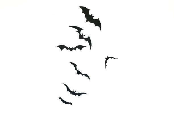 Bat paper decoration halloween and scary concept, black paper bats flying over white background