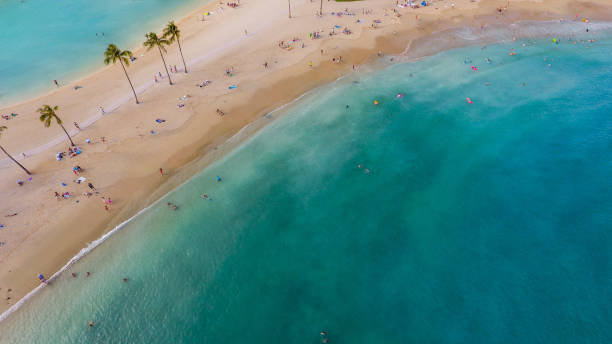 istock Aerial view of the beach 1033672978
