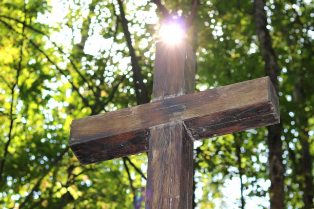 Wooden Christian religious cross on the background of green trees and rays of sunlight Wooden Christian religious cross on the background of green trees and rays of sunlight at dawn hope god lighting technique tree stock pictures, royalty-free photos & images