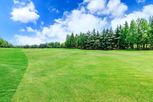 istock Green meadow and woods nature landscape 1033678118