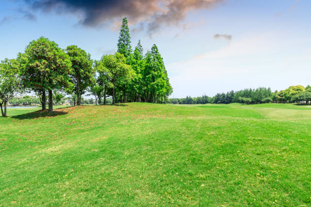 istock Green meadow and woods nature landscape 1033678194