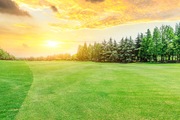 istock Green meadow and woods nature landscape 1033680576