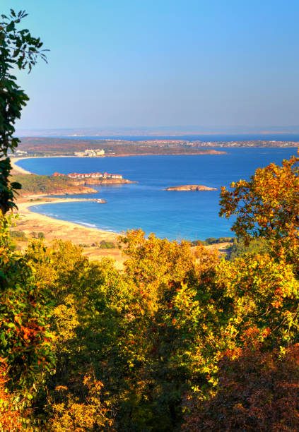 istock Landscape with autumn forest and sea 1033688278