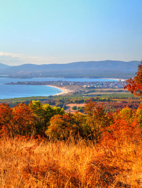 istock Landscape with autumn forest and sea 1033688326