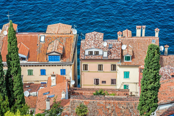 view from church of st. euphemia to old town and sea, rovinj, croatia - 11305 imagens e fotografias de stock