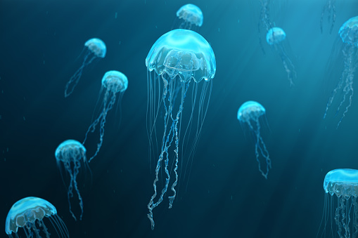 Fondo de Ilustración 3D de medusas. Nada de medusas en el mar océano, la luz pasa a través del agua, creando el efecto de rayos de volumen. Peligrosas medusas azules photo