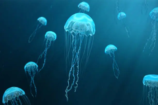 Photo of 3D illustration background of jellyfish. Jellyfish swims in the ocean sea, light passes through the water, creating the effect of volume-rays. Dangerous blue jellyfish