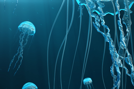 3D illustration background of jellyfish. Jellyfish swims in the ocean sea, light passes through the water, creating the effect of volume-rays. Dangerous blue jellyfish