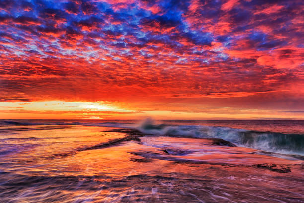 D Sea Mona Vale Plateau Red