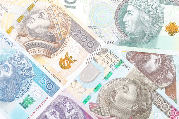 istock Polish Zloty, a business background 1033710986
