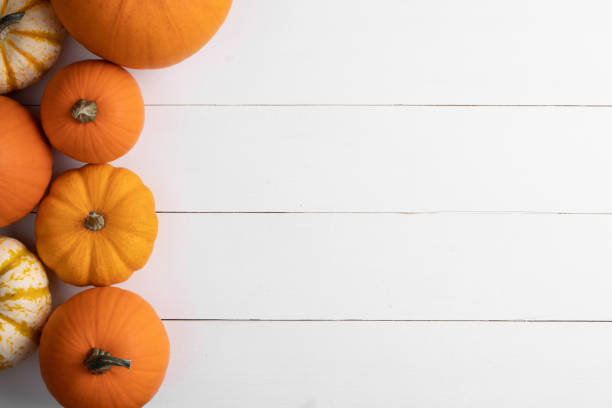 istock Pumpkins on wooden background 1033716882