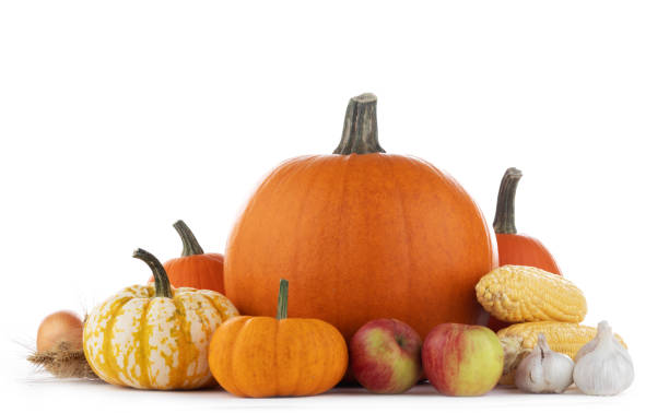 istock Autumn harvest on white 1033719342