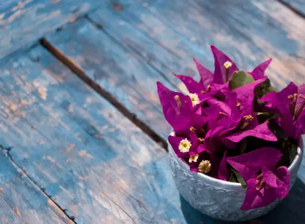 Photo of Bougainvillea Bowl on blue distresses table