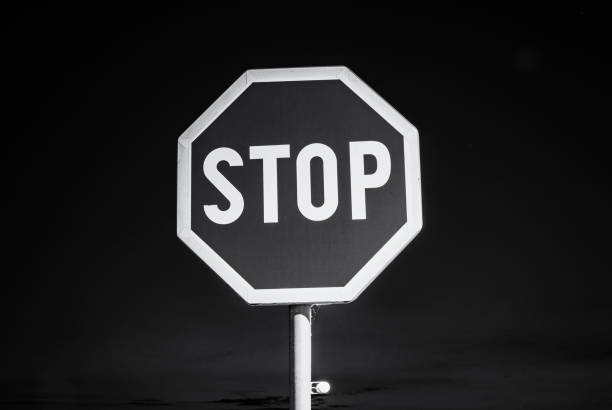 istock Stop sign, night scene, colorless 1033723162