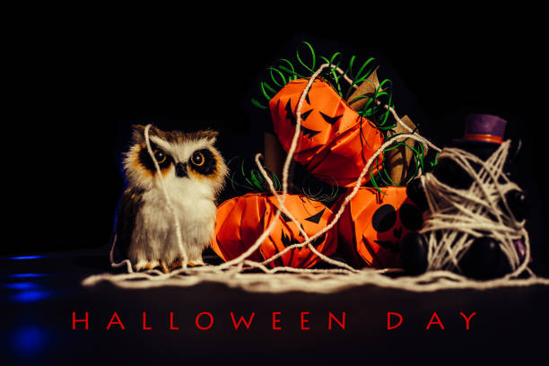 fondo halloween calabazas en negro. - halloween pumpkin jack olantern industry fotografías e imágenes de stock