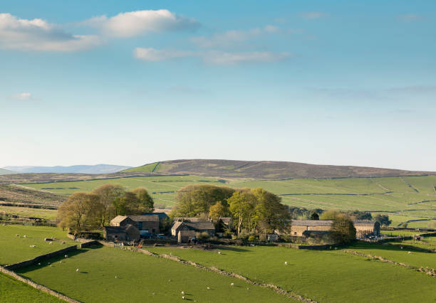 istock Farm In The Dales 1033736396